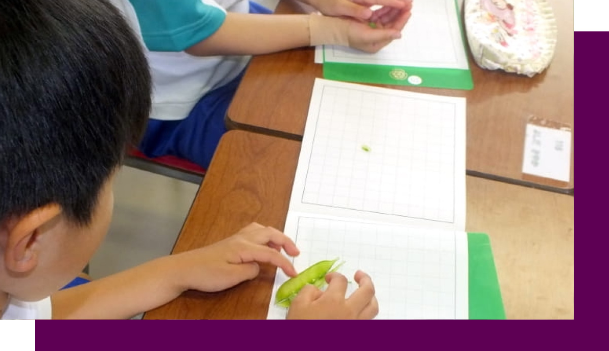 ベーシックアドバンス