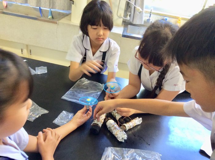 4年生サイエンス  備長炭電池
