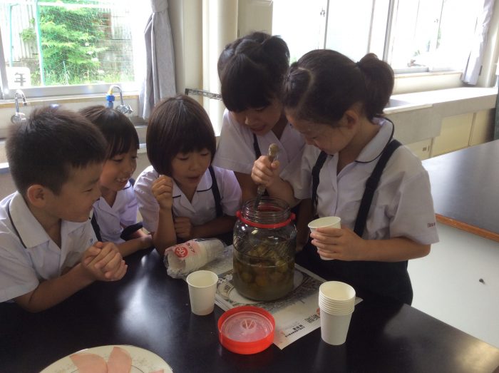 2年生アドバンス   梅ジュースと夏野菜サンド