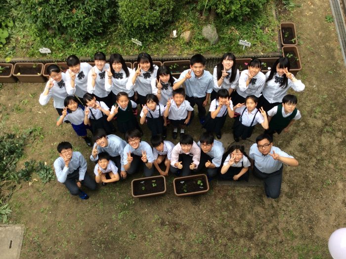 Cotton Project【第2回目 わたでつながろう】