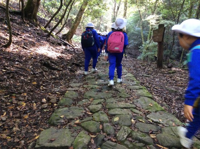 3・4年生遠足   春日遊歩道から若草山山頂