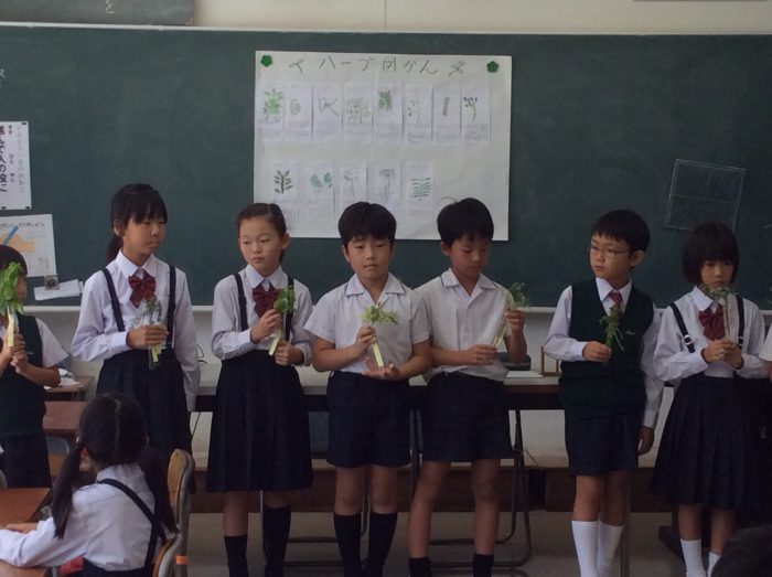 1・2年生 合同サイエンス