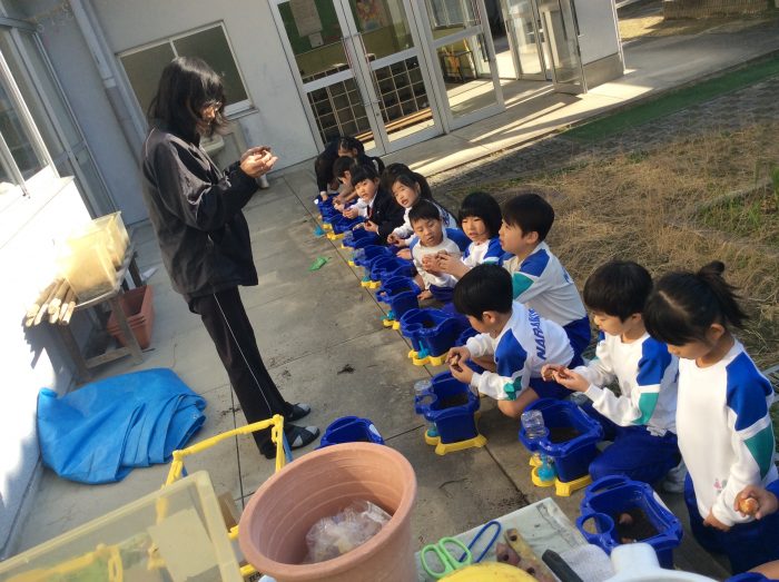 1･2年チューリップの球根を植えたよ