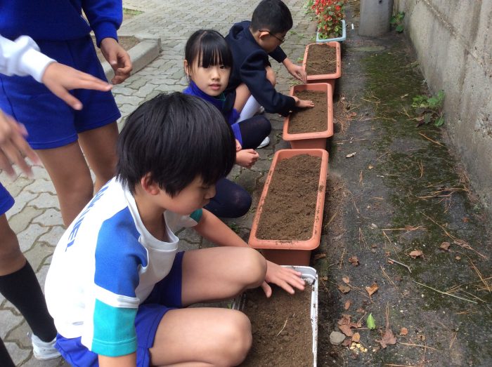 理科グループ   チューリップを植えよう