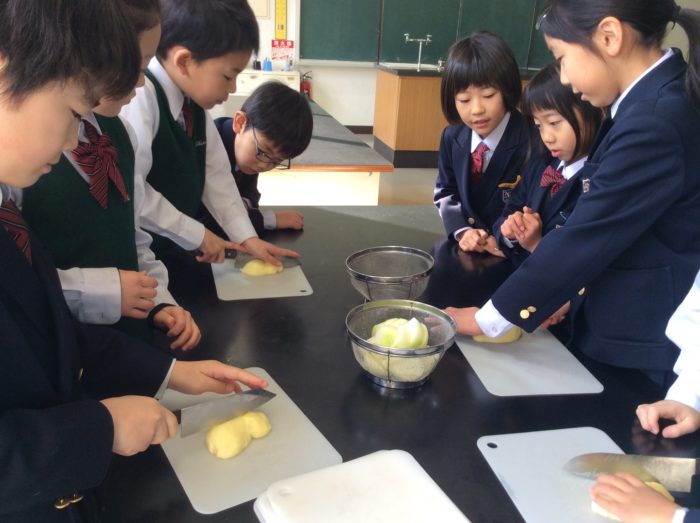 2年生アドバンス   ジャガイモくらべ