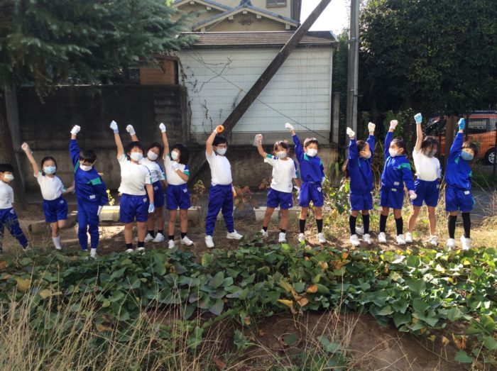 2年生　いもほり