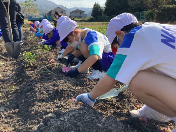 秋の遠足(1、2年生)